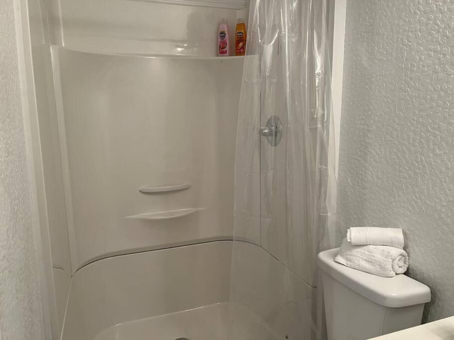 Apartment Luxury By Convention Center & Hospital Tampa
